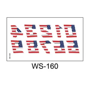 WS-160-105x60mm