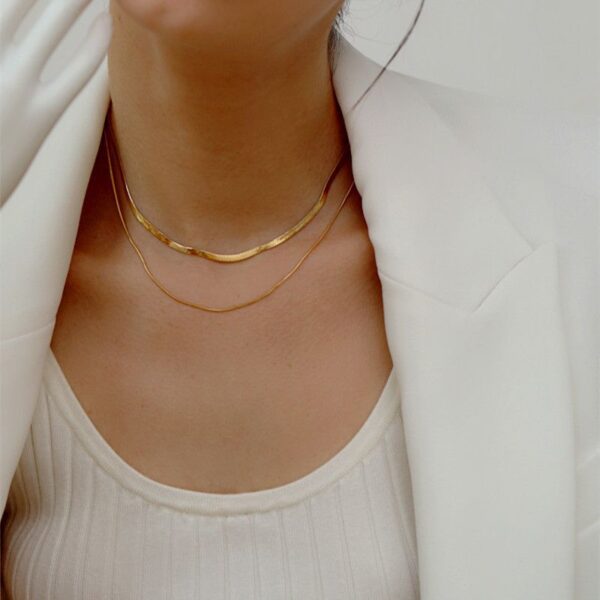 Wholesale Double-layer Stacked Snake Bone Chain Necklace Women's High-end Light Luxury Niche Retro Golden Titanium Steel Necklace Chain