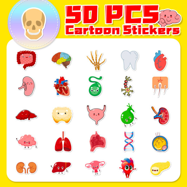 oly-ff89a5a801d73475acda6ff59126afcc Wholesale 50 Cute Human Organ Stickers to Learn Cartoon Human Organ Children's Early Education Stickers Creative
