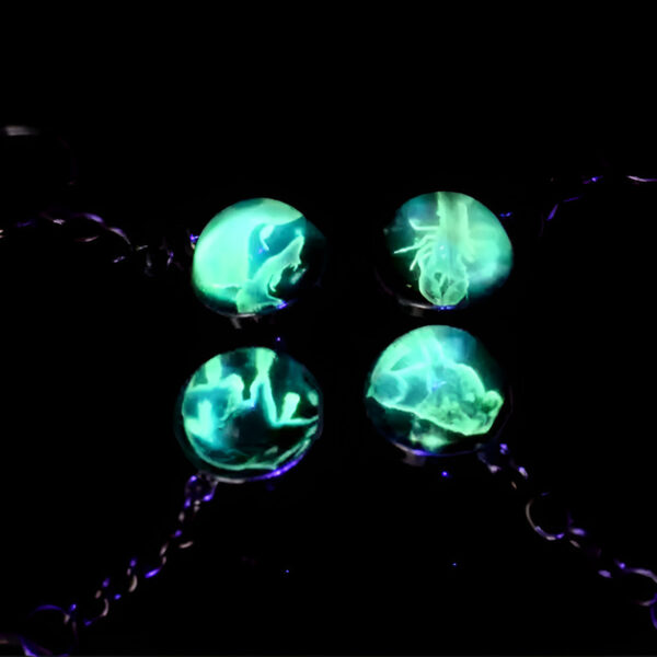 Wholesale 12 Zodiac Glow in the Dark Glass Ball Keychain Stylish Car Key Accessory for Birthday Gift