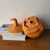 Wholesale Decorative Paper Pumpkin Lantern for Autumn Harvest Home Decor Resale