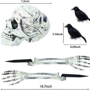 Skull and two crows