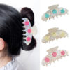oly-02d80b2a8f9c436574ff29a0ec27d1d5 Wholesale Snowflake Design Acrylic Hair Clip Fashion Hair Accessory for Women Gift Boutique Resale