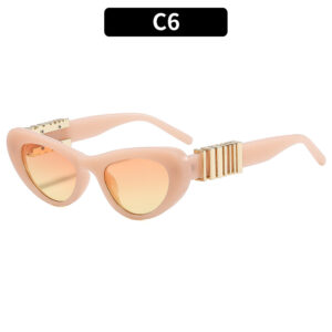 C6-pink frame orange slices