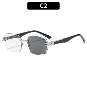 C2-Silver Frame Color-Changing Gray