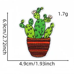 Cactus cloth patch 10#