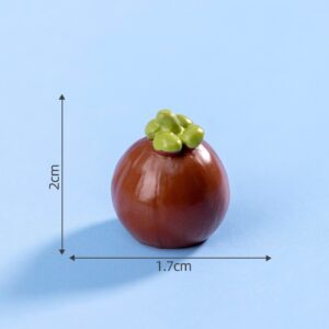 #29 Mangosteen / Fruit House 48