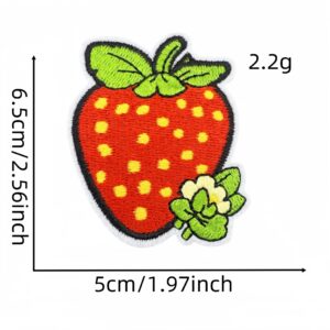 Strawberry cloth patch 12#