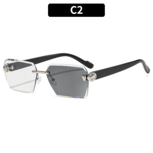 C2-Silver Frame Color-Changing Gray