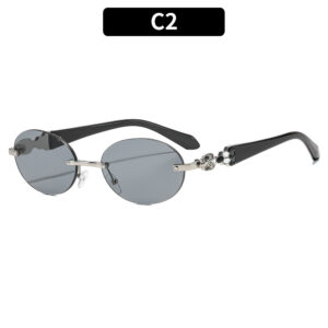 C2-Silver frame light gray