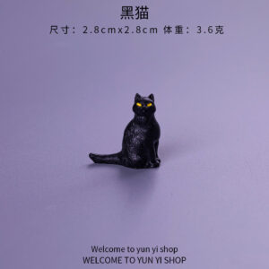 Black cat