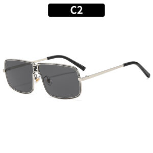 C2-Silver-framed grey sheet