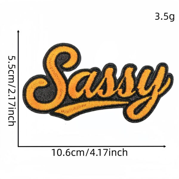 Wholesale Leopard Print English Slogan Embroidered Patches Set of 20 Decorative Clothing Accessory
