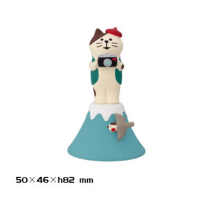 Mount fuji photographer cat