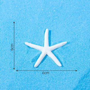 No. 11 simulated white starfish large large