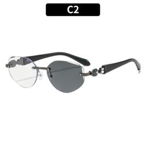 C2-Gun Frame Color-Changing Gray