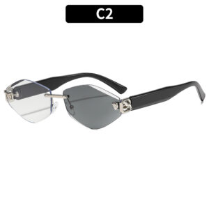 C2-Silver Frame Color-Changing Gray