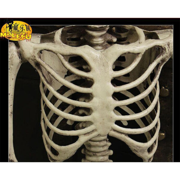 oly-13747ab4931a0ce313cd52074bd0d5d9 Wholesale Plastic Halloween Skeleton Decorative Accent 70cm Party Resale