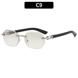 C9 - Silver Frame Gradient Silver