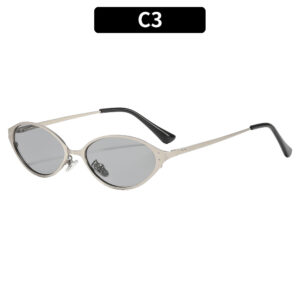 C3 - Silver frame, light gray accents