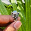 oly-1b127755eae412bbfe74c81c10d129a8 Wholesale Bohemian Moonstone Open Ring Women's Fashion Jewelry Accessory Gift