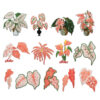 oly-1d421e1362949b44461951e570086877 Wholesale Stylish Red Leaf Embroidery Patches Polyester Thread DIY Clothing Decoration Resale