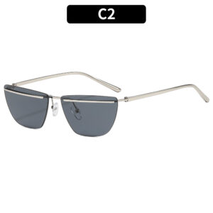 C2-Silver-framed grey sheet