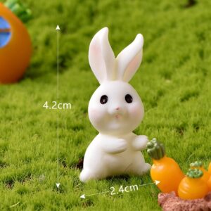No. 19 sitting and raising hands rabbit / Rabbit paradise
