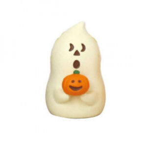Pumpkin white cat