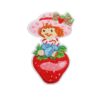 oly-25452254ed3a4df5207b49a229c9a616 Wholesale Polyester Thread Embroidered Strawberry Harvest Patch Decorative Accent for Clothing