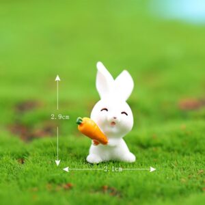 No. 4 trumpet holding radish / Rabbit paradise