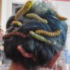 oly-28d0a60810806542c107e232b56c0661 Wholesale Halloween Caterpillar Hair Clip Set 12-Pack Fashion Accessory Resale