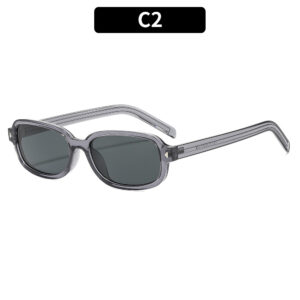 C2-Transparent Gray Sheet