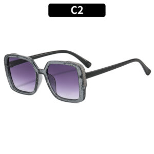 C2-transparent gray frame double gray piece