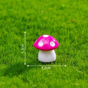 Size 12, Medium, Six-point Rose Red / Mushroom Series 29