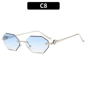 C8-Silver Frame Double Blue Lens