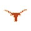 oly-2eb3a4a99e471f0ad1dba12ac043c0ed Wholesale Polyester Embroidered Patch, Texas Longhorn Orange, Iron-On Adhesive, Casual Fashion Accessory for Hats & Shoes