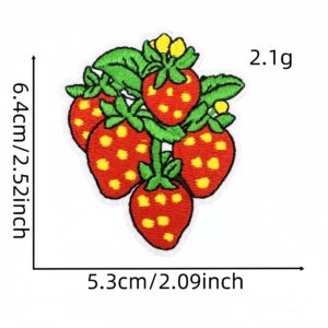 Strawberry cloth patch 5#