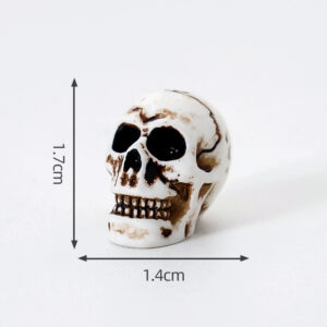 12# Skull / New Halloween