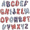 oly-3102254405a3d18d32a51a7ba1c497d4 Wholesale Embroidered Letter Patches with American Flag Design Polyester Thread Casual Decorative Accessory