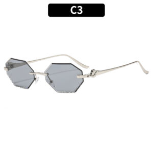 C3 - Silver frame, light gray accents