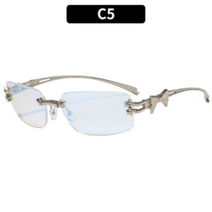 C5-silver frame blue film