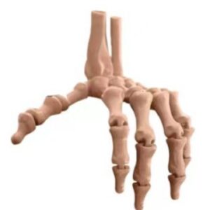 [skin color] skull hand