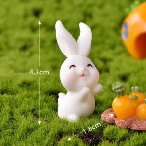 No. 17, raise your hand and squint your eyes / Rabbit paradise