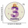 Wholesale Cartoon Round 12 Months Number Embroidered Patch DIY Iron-On Sticker Boutique Fashion Accessory
