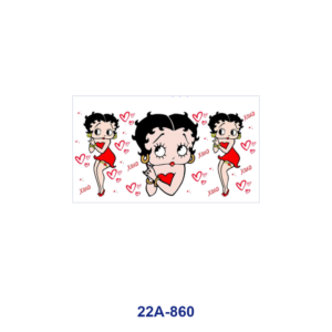 22A-860 / 5pcs