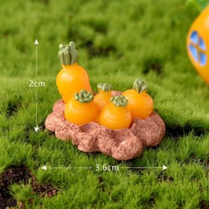 Carrot field no. 6 / Rabbit paradise