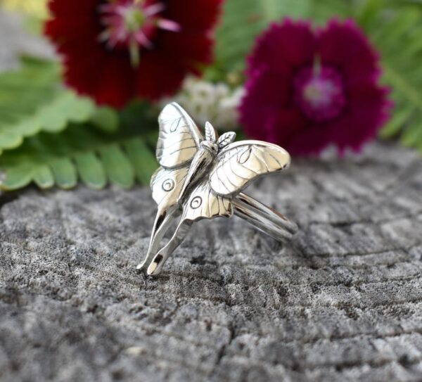 oly-3878ce6be451121401973206df811e44 Wholesale Vintage Butterfly Ring Wedding Bridal Jewelry Accessory Boutique Gift