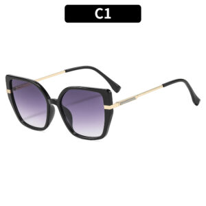 C1-Black frame with double gray accents