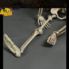 oly-3a11858ca50c1afff5b19a0b587791f0 Wholesale Plastic Halloween Skeleton Decorative Accent 70cm Party Resale